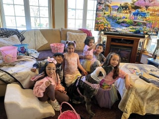 Illustration de l'article : Une chienne âgée de 12 ans partiellement aveugle a affronté un ours pour sauver sa famille