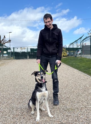 Illustration de l'article : D&eacute;couvert dans une habitation insalubre, ce chien autrefois squelettique retrouve une famille apr&egrave;s un premier &eacute;chec d&rsquo;adoption (vid&eacute;o)