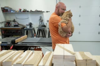 Illustration de l'article : Un retrait&eacute; construit des dizaines de chaises miniatures pour am&eacute;liorer le confort des chats en refuge