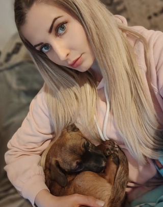 Illustration de l'article : Caché dans un tas de feuilles et de brindilles, ce chiot effrayé découvre la bienveillance grâce à sa sauveteuse