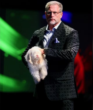 Illustration de l'article : Un Shih-Tzu aveugle et albinos trouve enfin une famille apr&egrave;s avoir subi une l'attaque d'un autre chien