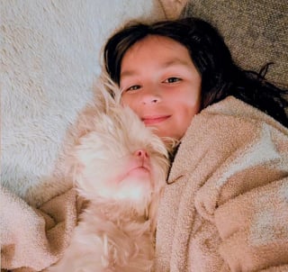 Illustration de l'article : Un Shih-Tzu aveugle et albinos trouve enfin une famille apr&egrave;s avoir subi une l'attaque d'un autre chien