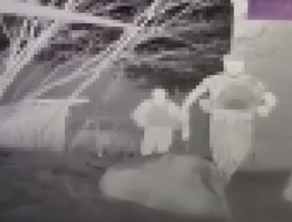 Illustration de l'article : En pleine zone de guerre, un drone militaire réussit l’évacuation aérienne d’un chat et d’un chien sur 12 km (vidéo)