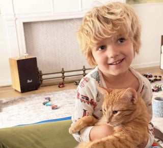 Illustration de l'article : Un petit gar&ccedil;on n&rsquo;ayant pas pu adopter un chat roux qu&rsquo;il aimait tant trouve le r&eacute;confort gr&acirc;ce &agrave; la t&eacute;nacit&eacute; de sa maman