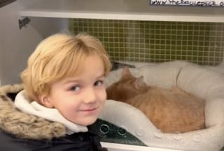 Illustration de l'article : Un petit gar&ccedil;on n&rsquo;ayant pas pu adopter un chat roux qu&rsquo;il aimait tant trouve le r&eacute;confort gr&acirc;ce &agrave; la t&eacute;nacit&eacute; de sa maman