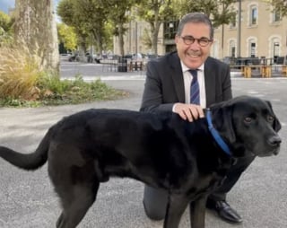 Illustration de l'article : Après avoir aidé plus de 300 personnes dans les tribunaux, Lol, chien précurseur dans le domaine du soutien aux victimes, prend sa retraite