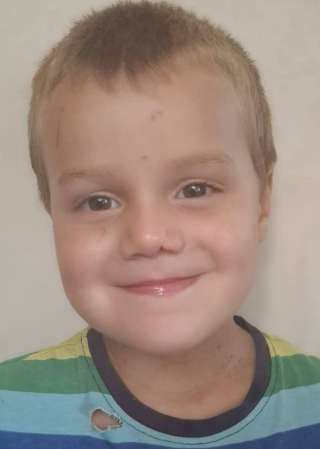 Illustration de l'article : Un Berger Australien qui s'est bless&eacute; en prot&eacute;geant son jeune ma&icirc;tre atteint d'autisme tomb&eacute; dans un foss&eacute; est soign&eacute; gr&acirc;ce &agrave; une cagnotte solidaire