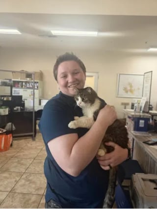 Illustration de l'article : Disparue pendant 5 ans, une chatte identifi&eacute;e gr&acirc;ce &agrave; sa puce retrouve sa famille soulag&eacute;e qu'elle reconna&icirc;t imm&eacute;diatement