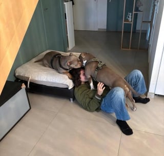 Illustration de l'article : Affam&eacute;e au point de manger du carton et trop faible pour nourrir ses chiots, cette chienne s'&eacute;panouit avec sa fille aupr&egrave;s de leurs adoptants