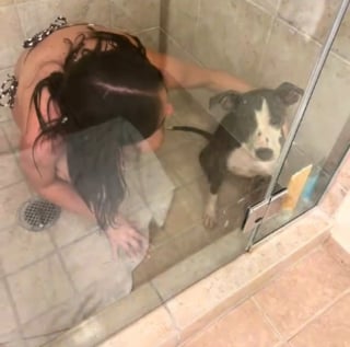 Illustration de l'article : Une famille en vacances rencontre une chienne errante couverte de puces sur l'embarcad&egrave;re, l'emm&egrave;ne en cachette &agrave; l'h&ocirc;tel et d&eacute;cide de l'adopter (vid&eacute;o)