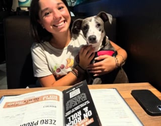 Illustration de l'article : Une famille en vacances rencontre une chienne errante couverte de puces sur l'embarcad&egrave;re, l'emm&egrave;ne en cachette &agrave; l'h&ocirc;tel et d&eacute;cide de l'adopter (vid&eacute;o)