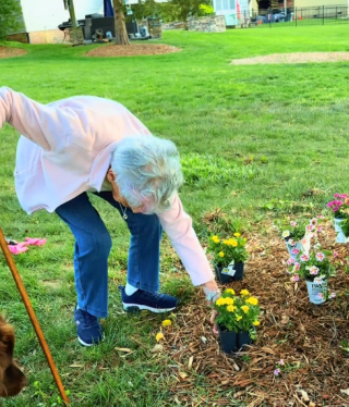 Illustration de l'article : Un Terre-Neuve aide une grand-m&egrave;re de 96 ans &agrave; planter des fleurs en creusant des trous (vid&eacute;o)