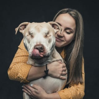 Illustration de l'article : 12 photos montrant le lien ind&eacute;fectible entre un chien et son ma&icirc;tre