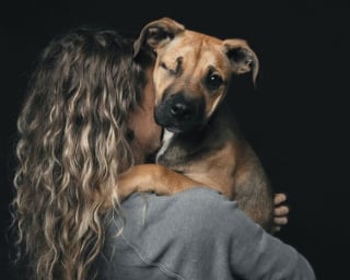 Illustration de l'article : 12 photos montrant le lien ind&eacute;fectible entre un chien et son ma&icirc;tre