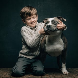 Illustration de l'article : 12 photos montrant le lien ind&eacute;fectible entre un chien et son ma&icirc;tre