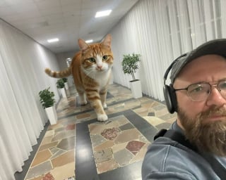 Illustration de l'article : 14 photos pour imaginer un monde o&ugrave; les chats seraient g&eacute;ants