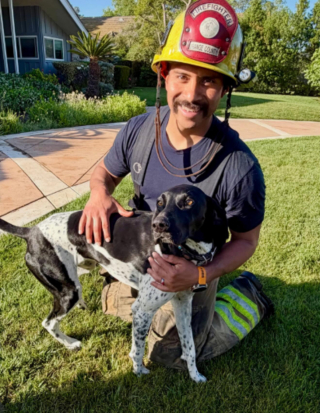 Illustration de l'article : R&eacute;veill&eacute;s par les aboiements insistants de leur chien &agrave; l'aube, ils &eacute;chappent &agrave; un incendie qui ravage leur garage et leurs voitures