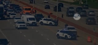 Illustration de l'article : Les policiers &agrave; bout de souffle poursuivant un chien &agrave; travers une autoroute, interrompent le trafic et le mettent en s&eacute;curit&eacute; (vid&eacute;o)