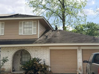 Illustration de l'article : Alert&eacute;s pour un Cane Corso bloqu&eacute; sur un toit, les pompiers d&eacute;couvrent qu&rsquo;il s&rsquo;agit simplement de son observatoire pr&eacute;f&eacute;r&eacute; 