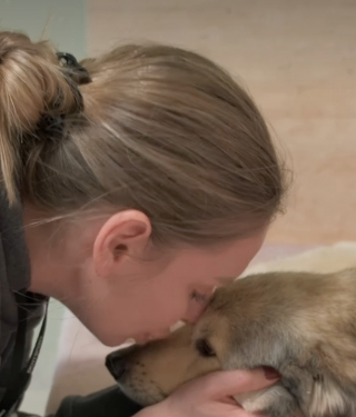 Illustration de l'article : &laquo; Il aurait gel&eacute; &raquo;, un chien ignor&eacute; en plein blizzard par les habitants de son quartier est secouru in extremis puis adopt&eacute; (vid&eacute;o)