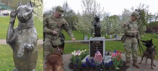 Illustration de l'article : Premier chien de l'arm&eacute;e am&eacute;ricaine et h&eacute;ros de la Premi&egrave;re Guerre mondiale, Stubby est honor&eacute; par un mus&eacute;e 100 ans apr&egrave;s sa disparition