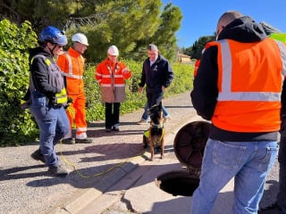 Illustration de l'article : Avec son flair unique, ce Malinois d&eacute;tecte les fuites d'eau difficiles &agrave; localiser et soutient les &eacute;quipes sur le terrain