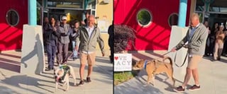 Illustration de l'article : Un b&eacute;n&eacute;vole fait un long voyage pour aider un refuge, il en repart avec 2 chiens adopt&eacute;s dont un ayant attendu 831 jours