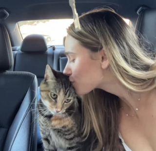 Illustration de l'article : &laquo; Bouh, maman ! Je t'ai eue ! &raquo;, une chatte adore faire peur &agrave; sa ma&icirc;tresse avec ce jeu quotidien (vid&eacute;o)