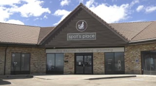 Illustration de l'article : Au lieu de se rendre chez le v&eacute;t&eacute;rinaire, une chienne Husky s&rsquo;&eacute;chappe pour rejoindre ses copains dans sa garderie pr&eacute;f&eacute;r&eacute;e (vid&eacute;o)