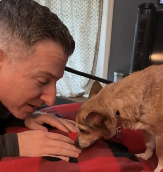 Illustration de l'article : &laquo; Elle a baiss&eacute; sa garde pour se sentir aim&eacute;e &raquo;, une Chihuahua parvient &agrave; faire confiance &agrave; son papa d&rsquo;accueil dont elle avait peur (vid&eacute;o)