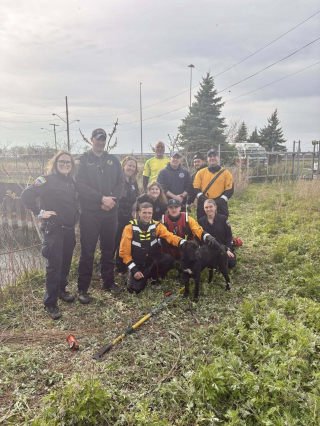 Illustration de l'article : Introuvable depuis une semaine, une chienne est localis&eacute;e dans le drain d'un bassin d&eacute;saffect&eacute; et secourue avant de rejoindre sa famille