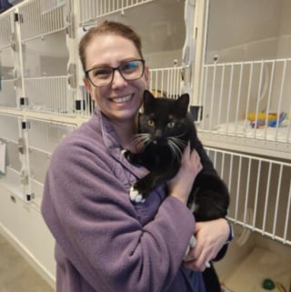 Illustration de l'article : Un chat dispara&icirc;t pendant 59 jours et parcourt 25 kilom&egrave;tres avant de retrouver sa famille gr&acirc;ce &agrave; sa puce &eacute;lectronique d'identification