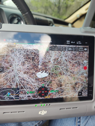 Illustration de l'article : Un chien &agrave; 3 pattes ayant fui sa famille d'accueil est retrouv&eacute; gr&acirc;ce &agrave; une sonnette vid&eacute;o