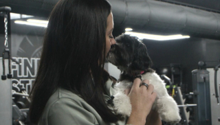 Illustration de l'article : Ancien chien errant, ce Shih Tzu de 8 mois apporte d&eacute;sormais de la joie dans une salle de sport (vid&eacute;o)