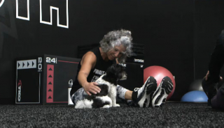 Illustration de l'article : Ancien chien errant, ce Shih Tzu de 8 mois apporte d&eacute;sormais de la joie dans une salle de sport (vid&eacute;o)