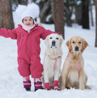 Illustration de l'article : Touch&eacute;e par leur vision diff&eacute;rente du monde, une petite fille fait d&eacute;couvrir un arc-en-ciel &agrave; ses 2 Golden Retrievers (vid&eacute;o)