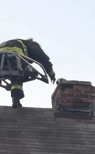 Illustration de l'article : Un chiot coinc&eacute; dans la chemin&eacute;e d'une maison d&eacute;labr&eacute;e est finalement sauv&eacute;, puis adopt&eacute; le jour de son passage &agrave; la t&eacute;l&eacute;vision