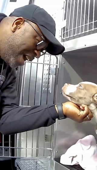 Illustration de l'article : Un chiot coinc&eacute; dans la chemin&eacute;e d'une maison d&eacute;labr&eacute;e est finalement sauv&eacute;, puis adopt&eacute; le jour de son passage &agrave; la t&eacute;l&eacute;vision