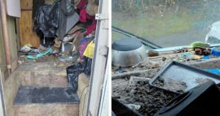 Illustration de l'article : 4 chiens et un chat qui vivaient au milieu des d&eacute;chets dans un camping-car ont &eacute;t&eacute; sauv&eacute;s par un refuge