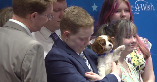 Illustration de l'article : Cette association c&eacute;l&egrave;bre son 5000e voeu d'enfant malade exaus&eacute; en remettant une chienne de soutien &eacute;motionnel &agrave; un adolescent qui se bat contre la leuc&eacute;mie
