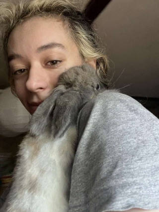 Illustration de l'article : Reconnaissante d'&ecirc;tre soign&eacute;e, cette lapine qui se cachait sous un meuble depuis 3 semaines fait son premier c&acirc;lin &agrave; sa bienfaitrice