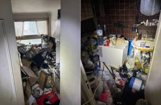 Illustration de l'article : Prisonni&egrave;re d'un balcon dans un appartement insalubre et forc&eacute;e de courir derri&egrave;re son ma&icirc;tre &agrave; v&eacute;lo, cette chienne est sauv&eacute;e et attend l'adoption