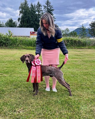 Illustration de l'article : Ce chien canadien devient le premier de sa ville &agrave; donner son sang et sauve ainsi 3 de ses cong&eacute;n&egrave;res