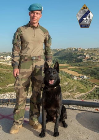 Illustration de l'article : Chien du sergent Anicet Girardin d&eacute;c&eacute;d&eacute; en mission, Ros a &eacute;t&eacute; d&eacute;cor&eacute; lors de l'hommage national et sera remis &agrave; sa famille