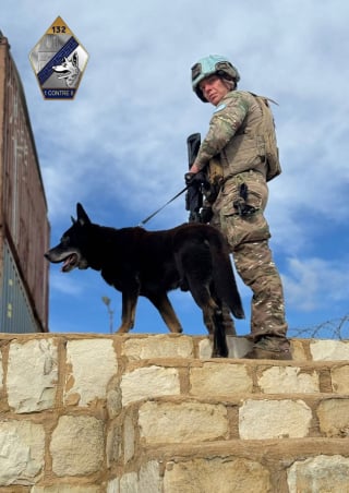 Illustration de l'article : Chien du sergent Anicet Girardin d&eacute;c&eacute;d&eacute; en mission, Ros a &eacute;t&eacute; d&eacute;cor&eacute; lors de l'hommage national et sera remis &agrave; sa famille