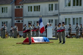 Illustration de l'article : Chien du sergent Anicet Girardin d&eacute;c&eacute;d&eacute; en mission, Ros a &eacute;t&eacute; d&eacute;cor&eacute; lors de l'hommage national et sera remis &agrave; sa famille