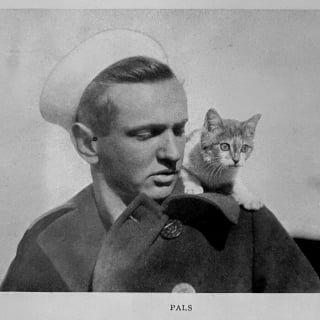 Illustration de l'article : 18 photos anciennes qui prouvent que notre amour des chats traverse le temps