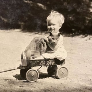 Illustration de l'article : 18 photos anciennes qui prouvent que notre amour des chats traverse le temps