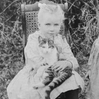 Illustration de l'article : 18 photos anciennes qui prouvent que notre amour des chats traverse le temps
