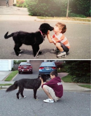 Illustration de l'article : 12 photos avant/apr&egrave;s de chats et chiens qui ont grandi avec leur humain pr&eacute;f&eacute;r&eacute;